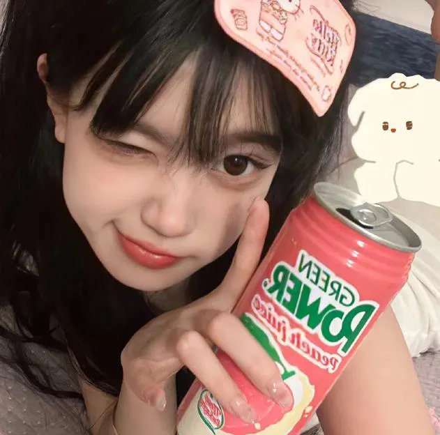献给检察官的玫瑰花